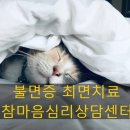 불면증 애동작업을 통해 극복한 심리상담.최면상담후기 이미지