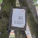 스테이 보다 | 친구따라 처음가는 템플스테이 - 남양주 봉인사