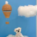 뭉개뭉개인강릉 이미지