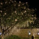 미아풀빌라 이미지