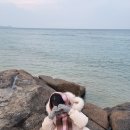 24년 마무리 여행과 동시에 25년 맞이 여행