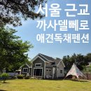 까사델뻬로 | 서울근교 애견독채펜션 내돈내산 추천 홍천 까사델뻬로 솔직 후기