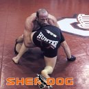 해머하우스 이미지