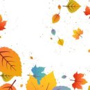 초등 고학년, 글쓰기가 답이다(1) 이미지