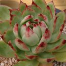 마리아농장 이미지