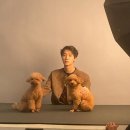 쭈순이 티스토리