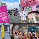 대구태전동우체국 | 볼거리가 많은 대구 북구 매전로 벚꽃축제 후기♥