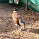 수안보농장 이미지