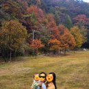 국립유명산자연휴양림 자생식물원 공중화장실 | 아기와 함께 유명산 자생식물원 나들이