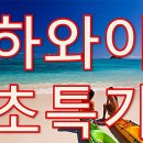 다온투어 이미지
