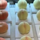 로데오거리입구 주변 이미지