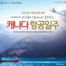 하나 글로벌 여행사