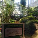 바디스킬릴리즈 이미지