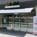 하이멍냥 강아지분양 고양이분양 서울본점 이미지