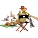 ITQ엑셀 자격증 이미지