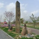 신장둔치 이미지