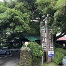 성미야채 | 제주 닭요리 전문점 추천｜교래리 ‘성미가든’ 찐 후기(닭샤브샤브부터 백숙, 녹두죽까지 한 상!)