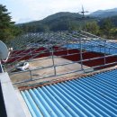 하양혈리 이미지