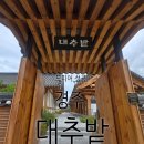 해당한의원 | [경주 난임 한의원] 벼르고 벼르다 다녀온 '대추밭백한의원' 솔직 방문 후기 🌿