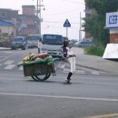 넷티즌 이미지