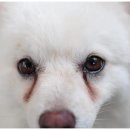 신천동물병원 이미지