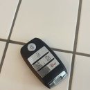 뉴그린자동차서비스 | 기아 더뉴카니발 브로그앤머로우 스마트키 케이스