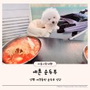 예촌식당 | 양평 용문면 애견동반식당 순두부맛집 예촌순두부 방문 후기