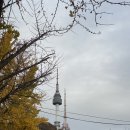 810스튜디오