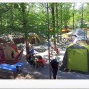 두리반디 이미지