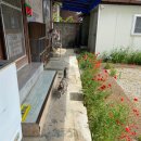 구미 산동 로컬 맛집 이선이 칼국수 솔직 방문후기