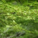 다라플란트치과의원 이미지