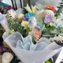 항가울로 이미지