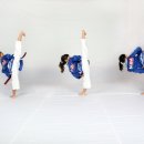 석사 비호태권도장 이미지