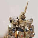 다반 PG PHENEX 완섬 리뷰 이미지