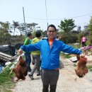 일권농장 Daum카페