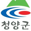청양군청 티스토리