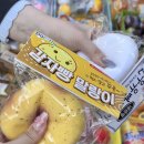 삼영사 | 동대문 완구거리 말랑이 파는곳 가격 솔직후기