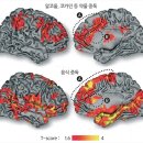 단식 반복하면 음식중독 된다. 이미지