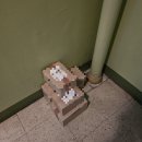 카카오톡 생일선물 추천 및 후기 휩드, 트리헛 바디스크럽 | 톤28, 눅스바디오일 | 겔랑립밤💕