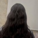 상봉초등학교 | 내 기분까지 화사하게 밝혀주는 새로운 헤어 스타일링 경험