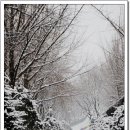 서인공원 이미지