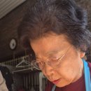 솔안공원 이미지