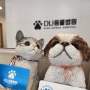 효원동물병원 이미지