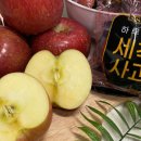 채가푸드 이미지