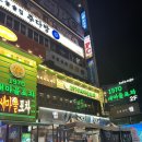 푸른술집 할라 | 수원 / 수원역 술집 "푸른술집할라" 후기