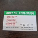 에메랄드그린 털이묘 포트묘 묘목농장 이미지