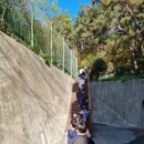 안성자연유치원 이미지