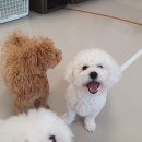 하울팟한남