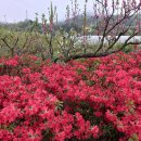 하동농장 이미지