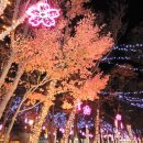 세모공원 이미지